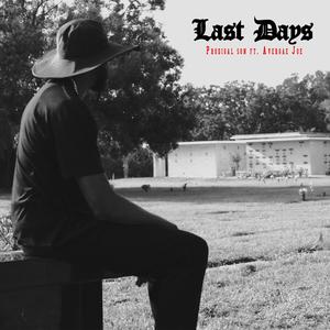 Last Days (feat. Adverage Joe)