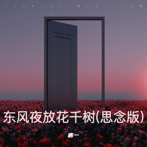 东风夜放花千树 (思念版)封面