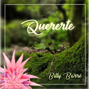 Quererte