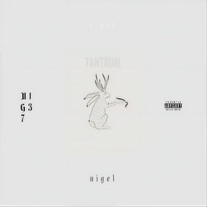 murtnaT(feat. Mr. Dibbs) (Explicit)