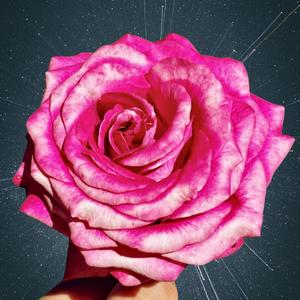 Nothin To Say To You. (feat. Mari Mostro & SoNoLoo) (Explicit)