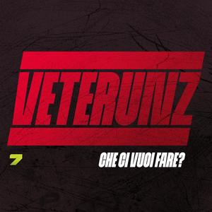 Che ci vuoi fare? (Explicit)