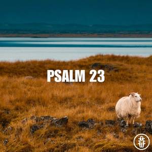 Psalm 23 - Acoustic Instrumental