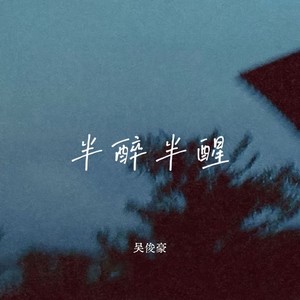 半醉半醒