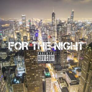 For The Night (Explicit)