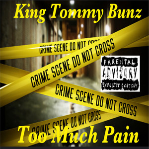 Too Much Pain (Explicit)