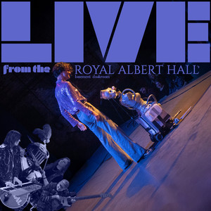 Tiny Snake (Live from the Royal Albert Hall's Basement Cloakroom)