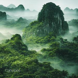 Canopée