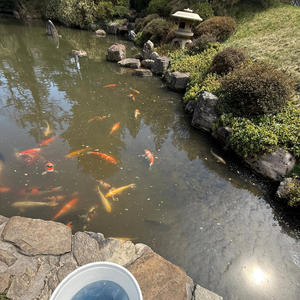 Cybertruck (feat. 43deedo) (Explicit)