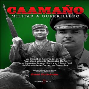 Caamaño tema 27