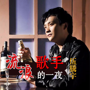 流浪歌手的一夜