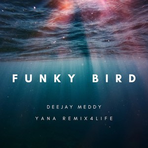 Funky Bird (Remix)