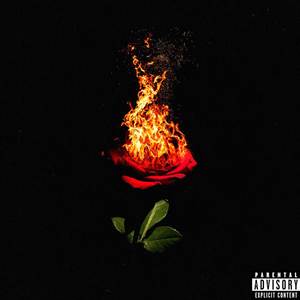 Stokari Nenosia Kvety (Explicit)