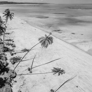 Colors 2.0 (Explicit)