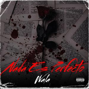 Nada Es Perfecto (feat. Wala)