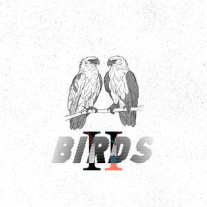 Birds II (Explicit)