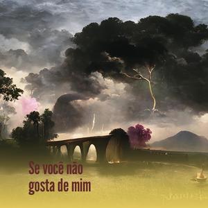 Se Você Não Gosta de Mim (Explicit)