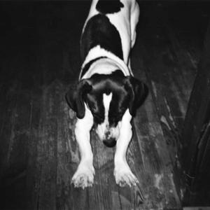 IBrokeMyShovelWhileIWasDiggingYourGrave (Original Mix)