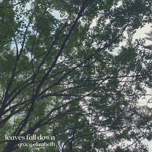Leaves Fall Down