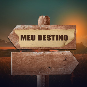 Meu Destino