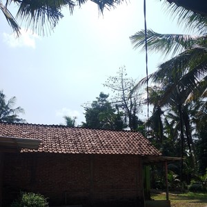 Kerja kesel lumrah