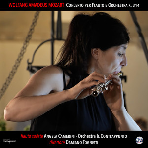 Concerto per flauto e orchestra in D Major, K. 314 - II. Andante ma non troppo