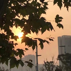 关于我和你，和爱情