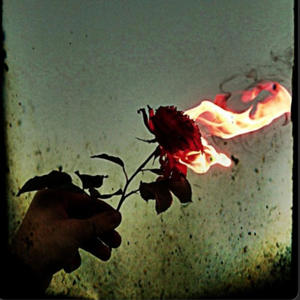 Don't you worry, you'll be dead soon. (Explicit)