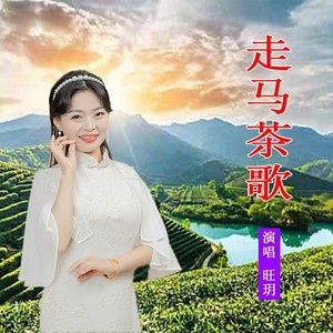 走马茶歌 (电子伴奏)