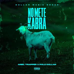 No mete Kabra (feat. ariel trapper & polo dollar)