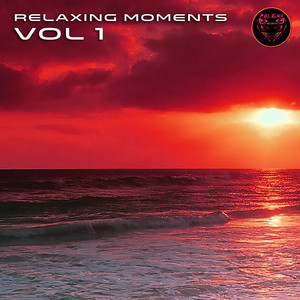 Relaxing Moments, Vol. 1