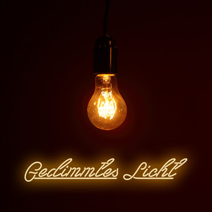 Gedimmtes Licht (Explicit)