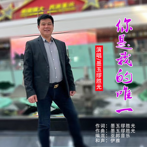 你是我的唯一