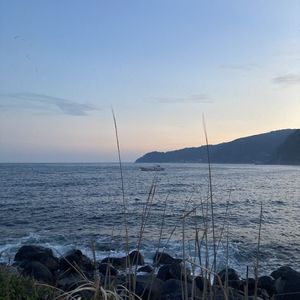 巡る feat. 知声 (seasons)