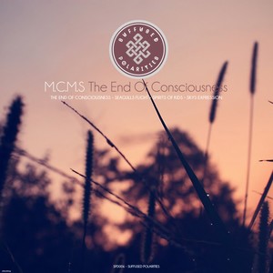 The End of Consciousness