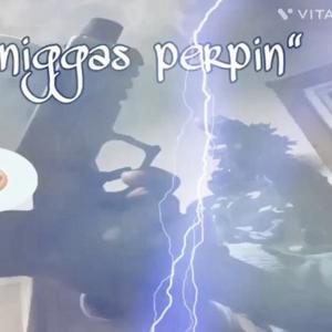 Niggas Perpin (feat. DoubleBack Tee & DoubleBack Wayne) (Explicit)