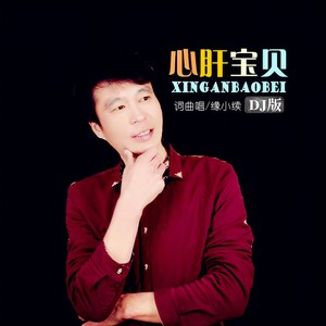 心肝宝贝 (DJ版)
