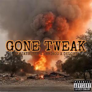 Gone Tweak (feat. CeeJayGunna & Hari800) [Explicit]