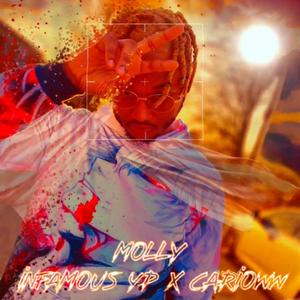 Molly(feat. Carioww) (Explicit)