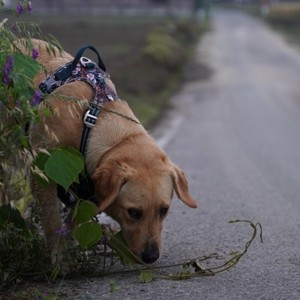 Breath (feat. HIROMU)