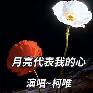 月亮代表我的心-柯唯（Chole）