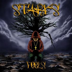 Feels (feat. DJ Starks) [Explicit]