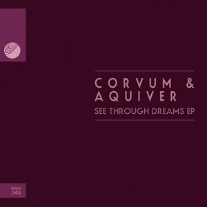 See Through Dreams (Original Mix)