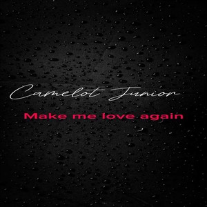 Make me love again