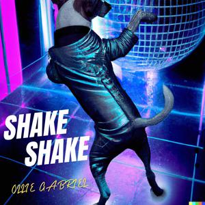 SHAKE SHAKE