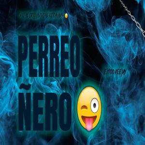 PERREO ÑERO (Leiitoo Deejay Remix) [Explicit]