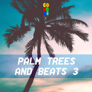 Palm Trees and Beats 3