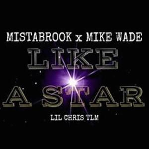 LIKE A STAR (feat. Mistabrook, Mike Wade & Lil Chris Tlm) (Explicit)