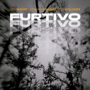 Gato Negro Gato Gris