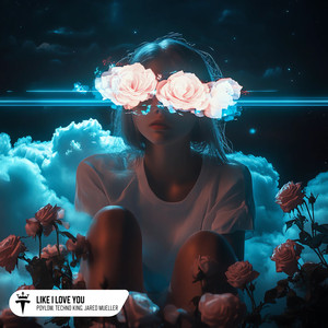 Like I Love You (EXTENDED MIX)